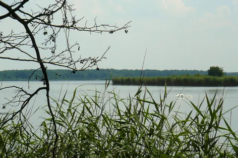 Turm der Vögel des Himmels und Teich Grabownica — Foto 6