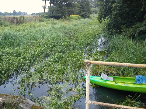 Wassermühle in Sułów — Foto 2