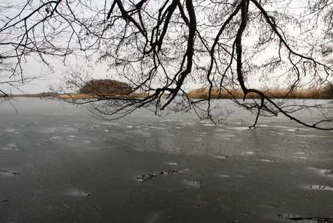 Turm der Vögel des Himmels und Teich Grabownica — Foto 8