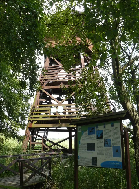 Turm der Vögel des Himmels und Teich Grabownica — Foto 2