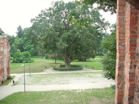 Ruine von Burg und Schloss Hatzfeldt in Żmigród (Trachenberg) — Foto 7