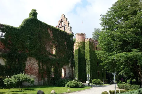 Ruine von Burg und Schloss Hatzfeldt in Żmigród (Trachenberg) — Foto 2