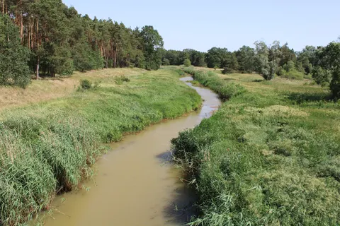 Wassermühle in Sułów — Foto 5