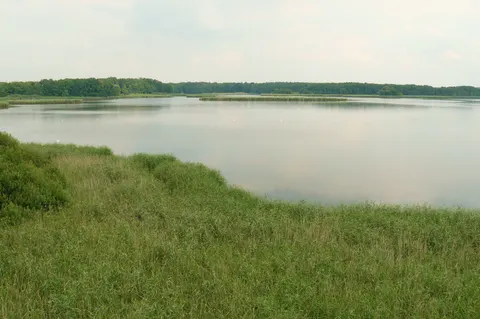 Turm der Vögel des Himmels und Teich Grabownica — Foto 7