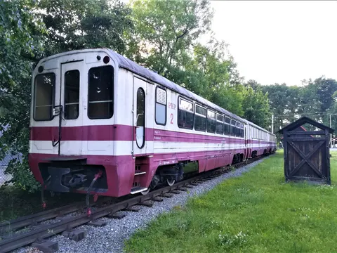 Ausstellungszug der ehemaligen Schmalspurbahn, Milicz Wąsk. — Foto 3