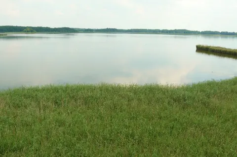 Turm der Vögel des Himmels und Teich Grabownica — Foto 4