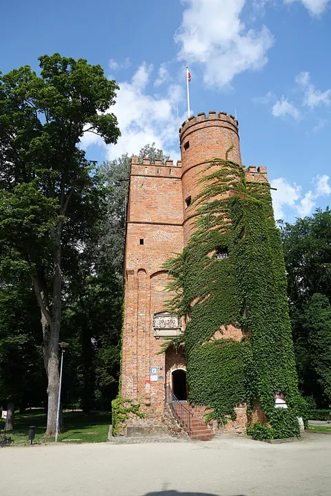 Ruine von Burg und Schloss Hatzfeldt in Żmigród (Trachenberg) — Foto 3