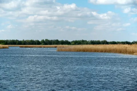 Grobla między Słonecznym Górnym a Wilczym Małym (Stawno) — zdjęcie 1