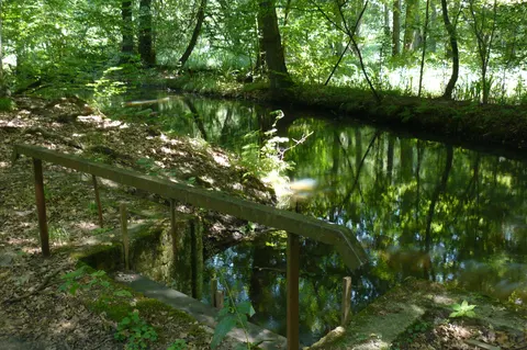 Wassermühle in Sułów — Foto 6