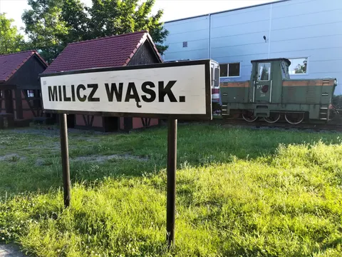 Ausstellungszug der ehemaligen Schmalspurbahn, Milicz Wąsk. — Foto 2