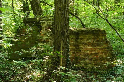 Park-Arboretum Postolin und Naturschutzgebiet Wzgórze Joanny — Foto 2