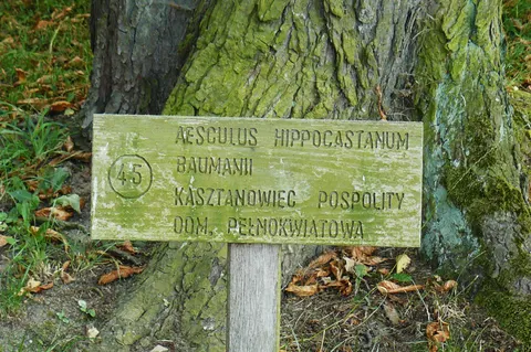 Park-Arboretum Postolin und Naturschutzgebiet Wzgórze Joanny — Foto 4