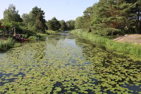 Wassermühle in Sułów — Foto 4